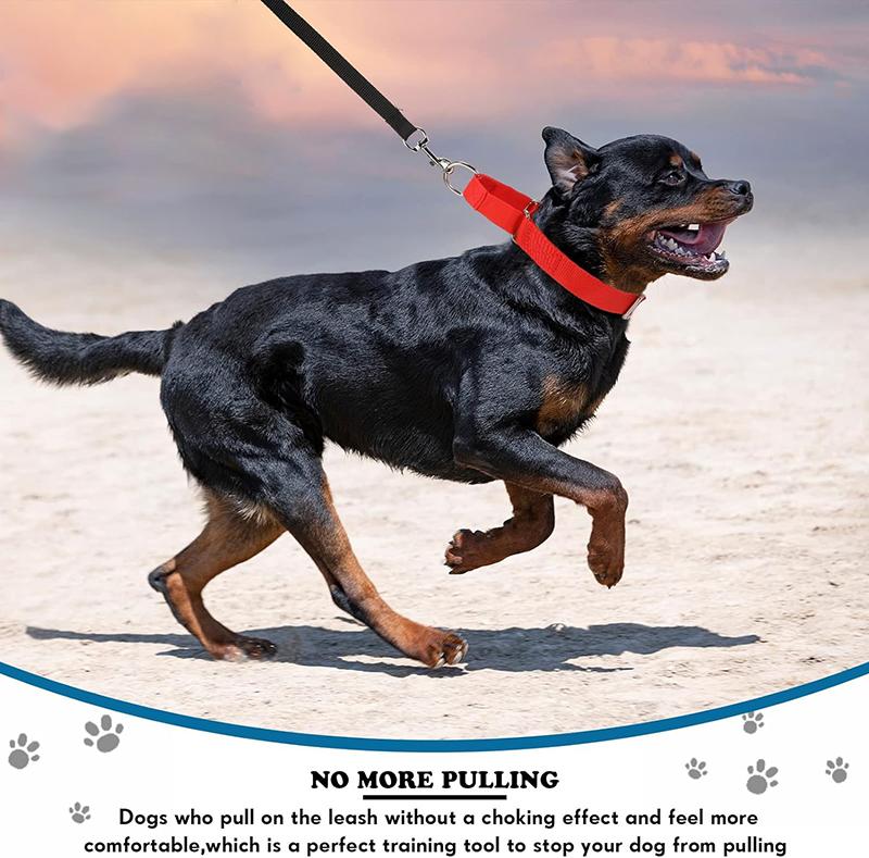 Zgarda robustă din nailon Martingale, reglabilă, moale, pentru cățeluși, pentru câini de talie mică, mari, controlul dresajului previne alunecarea afară