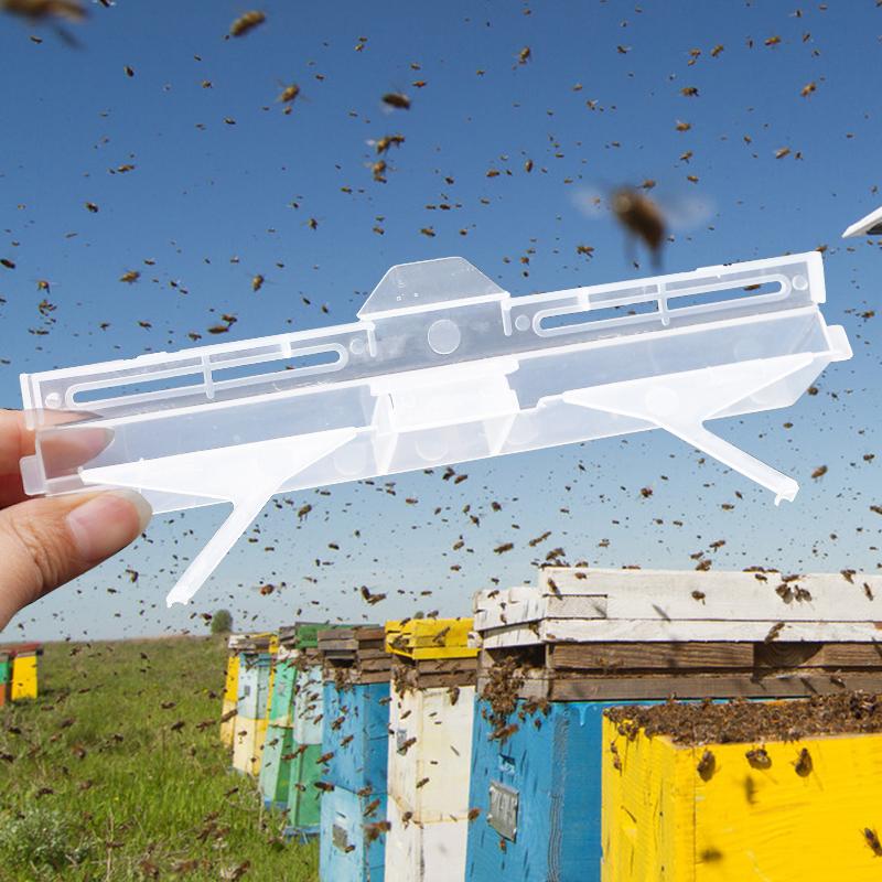 10 Paczek Pułapka na Chrząszcza Ulowego, Przezroczysta Plastikowa Wielokrotnego Użytku Pułapka Chrząszczobójcza dla Chrząszcza Ulowego Pomocnik Pszczelarza Artykuły