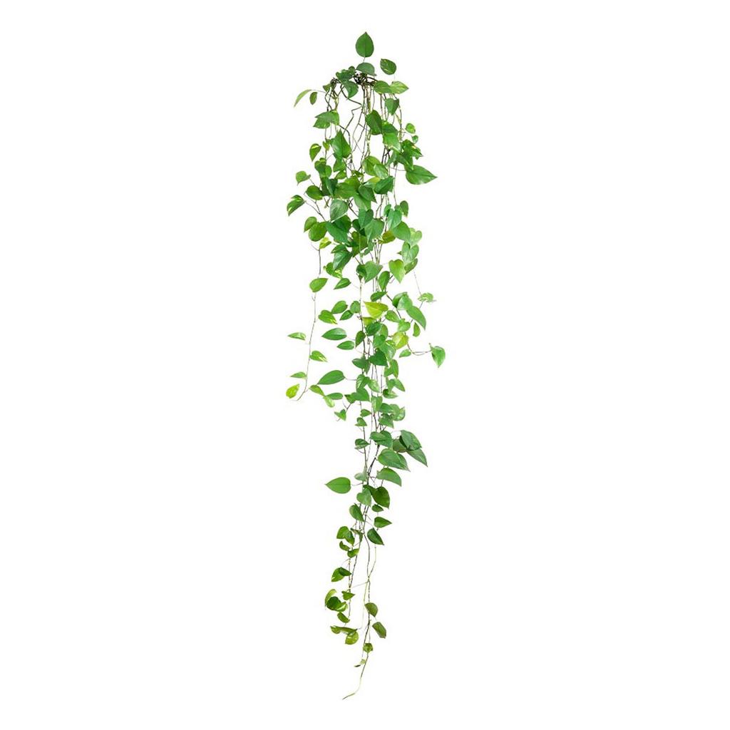 Les Trésors De Lily [R6016] - Sheet of Stickers 'Ivy' Green - 20x70 Cm