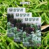 Nasiona arcydzięgla, Nasiona arcydzięgla koreańskiego 1g, 3 szt., wieloletnia roślina lecznicza, jadalne liście, Danong Seed Company