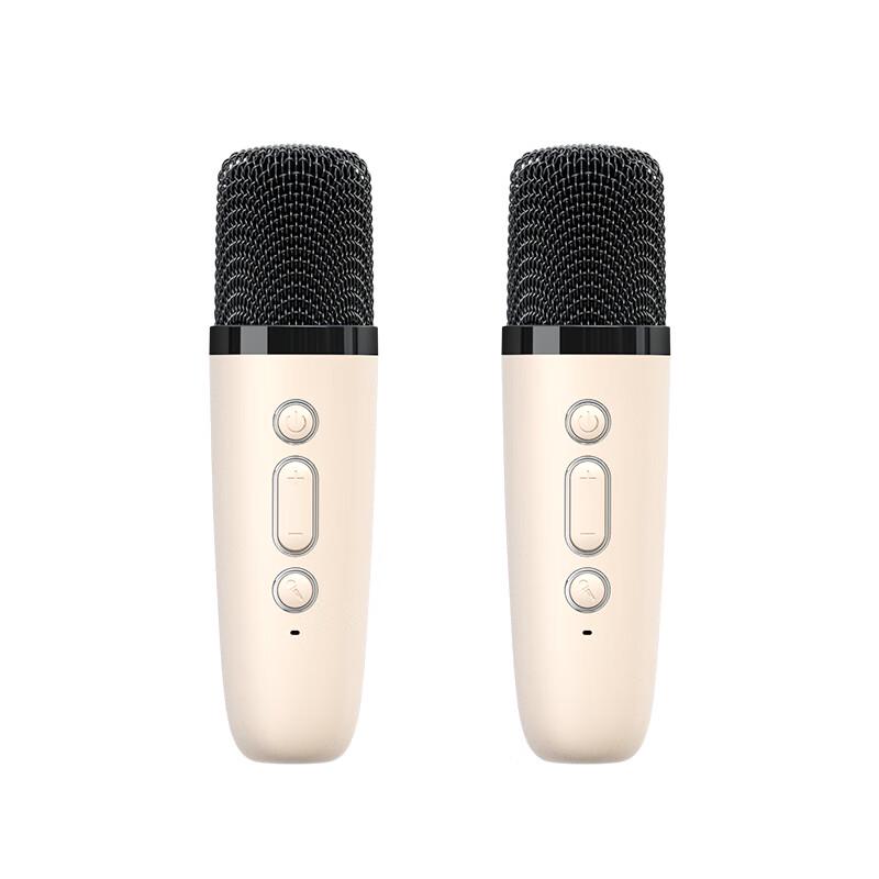 Newmine Portable Wireless KTV Speaker & Microphone System