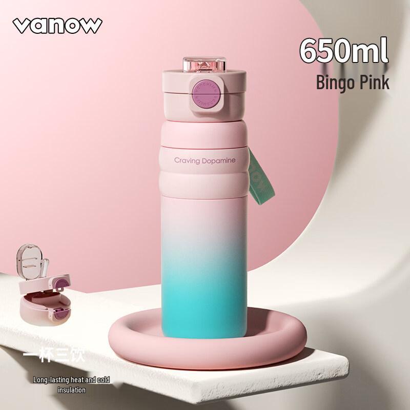 Vanow Insulated Stainless Steel Straw Water Bottle