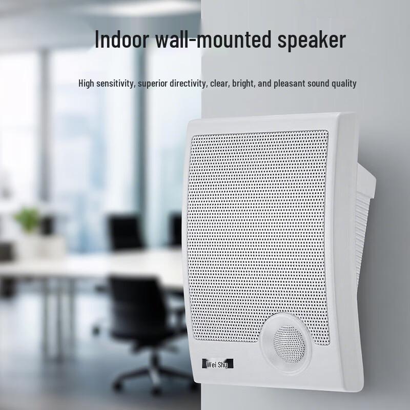 WISHU FD-390-A Public Address System Kit (CN version)