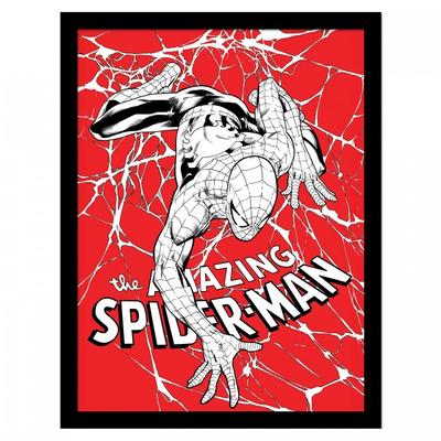 Spider Web Framed Poster