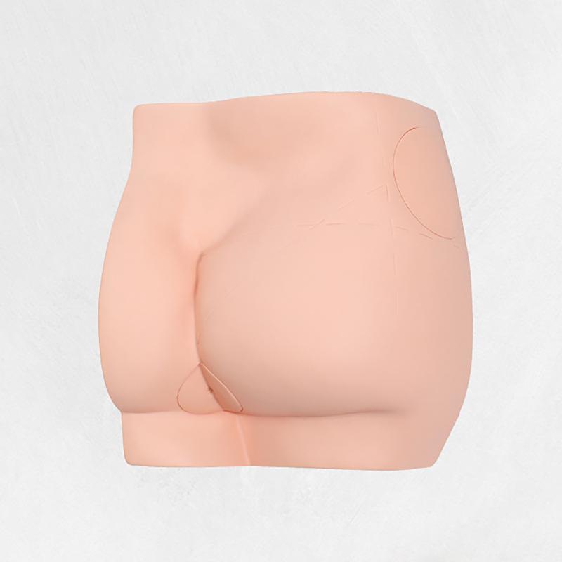 Human Adult Hip Injection Training Model Reusable Manikin Teaching Intramuscular Anatomical Models For Nurse Medical Students