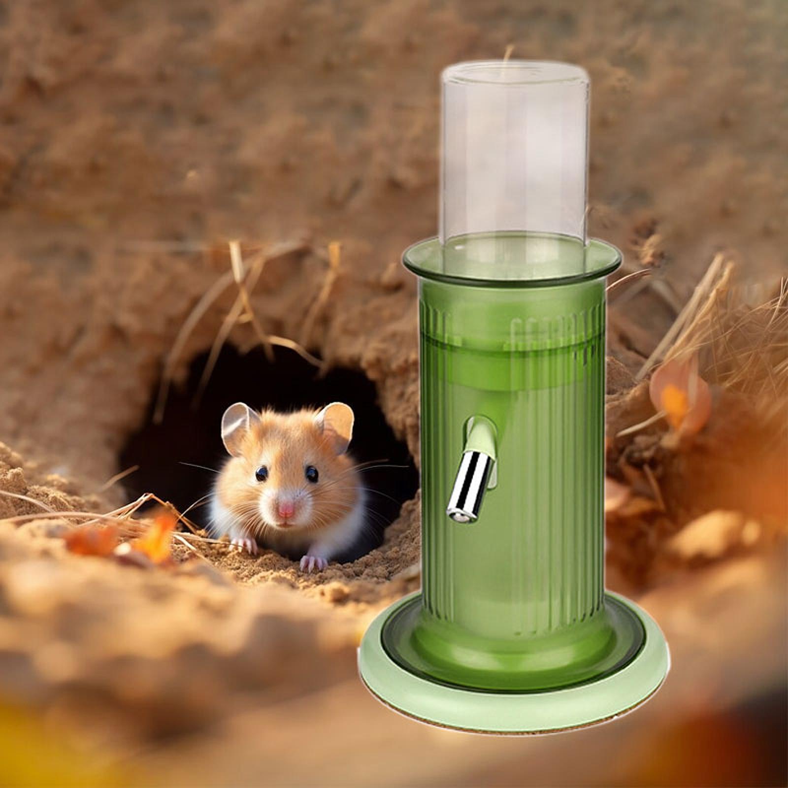 

Hamster Water Bottle Holder Feeding Watering Rabbit Drinker Pet Water Drinking Bottle for Mice Rabbits Ferret Chinchilla Bunny зелёный