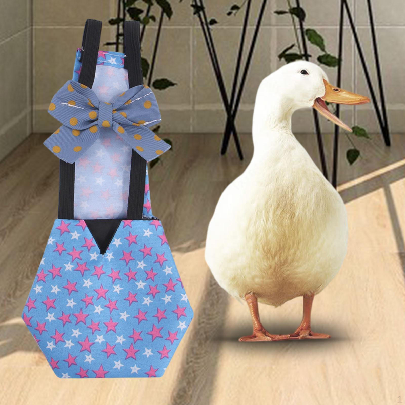 

Костюм-подгузник для домашней птицы, для утят и куриц Blue M