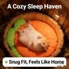 Carrot-shaped Small Bed – Guinea Pig Sofa/Cage Mat, Warm and Comfortable Bedding,Suitable for Rabbits,Guinea Pigs,and Other Pets