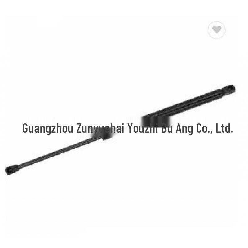 PM Coupe 2011 Tailgate Strut 5160017AB