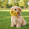 Durable Adjustable Dog Muzzle Safety Buckle Breathable Pet Mouth Mask Anti-Eating Anti-Licking Dog Mouth Cover for Dogs