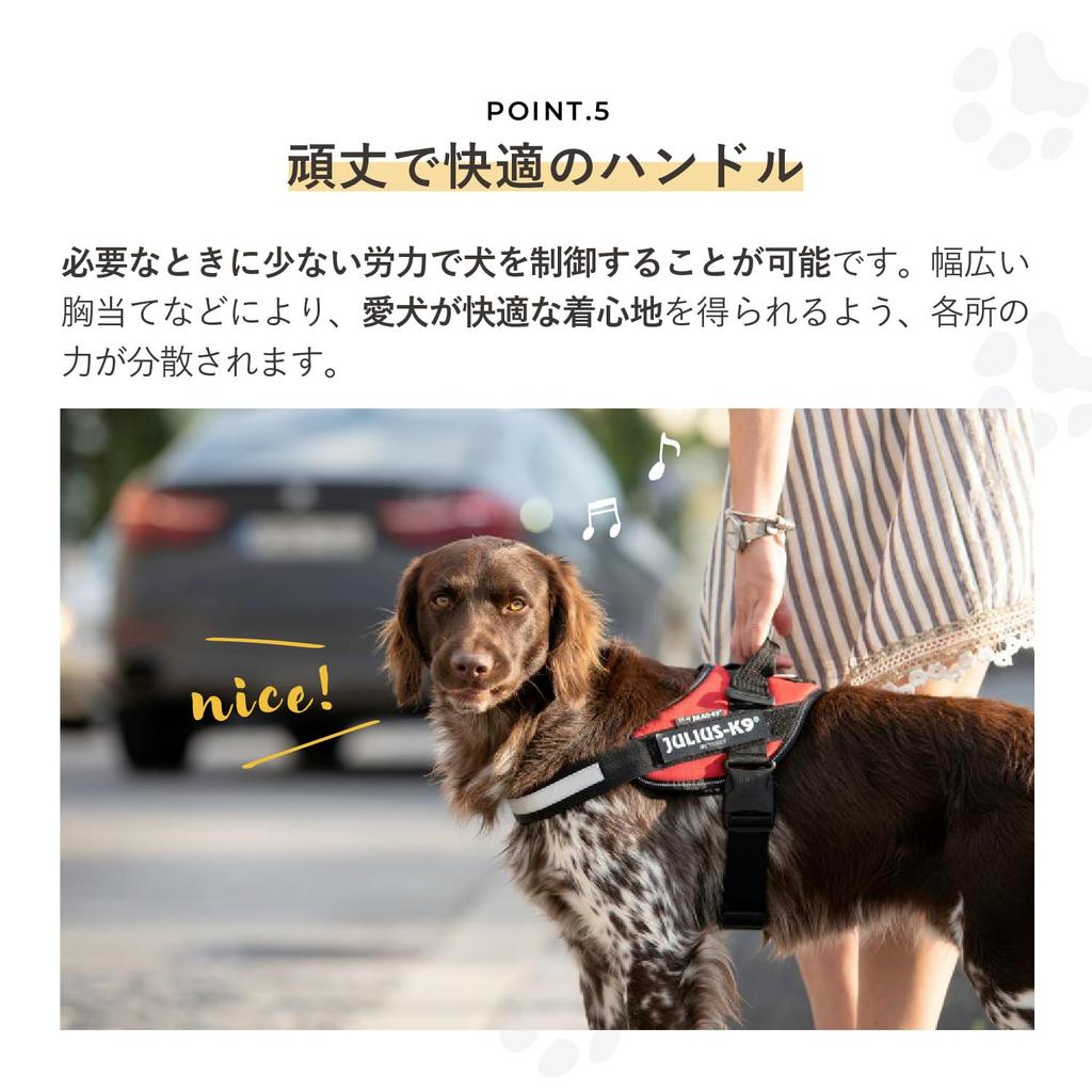 IDC Power Arabesque Grün Geschirr, Größe S/Mini,