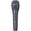 Audio-Technica Condenser Microphone AE3300