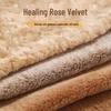 Cozy Washable Pet Bed: Thickened Nesting Pad for Small Dogs & Cats