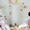 Hina prince and princess case case acrylic bride and width 49 x depth 26 x height 37 costume dolls, decoration, decoration, case, Sakuraakari, groom,