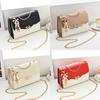 New Trendy Sequined Crossbody Bag For Women Stylish Chain Strap Small Purse Fashionable