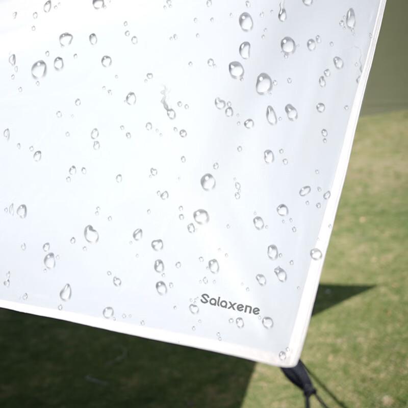 Salaxene Hexagonal Canopy