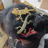 12Pcs Hairpin Vibrant Color Lizard Decor Handcrafted Hair Clip Hair Decoration Halloween Hair Accessory Fun Costume Gift