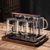 Handon Borosilicate Glass Cup Set with Tray and Holder