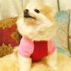 Pet Puppy Summer Footprints Vest  Small Dog Pet Clothes T Shirt 