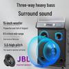 SAST All-in-One Portable KTV Sound System with Display CN Plug (adapter Included)