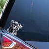 Cane Corso Dog Self-Adhesive Vinyl Decal, Used for Car Windows, Bumper, Laptops, Waterproof Exterior Car Accessories