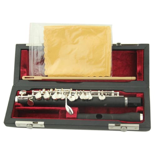 Tachiuwa C Key Flute with Carrying Case and Cleaning Cloth, Beginner Kids Gift