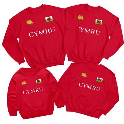 Welsh Cymru Flag Badge Daffodil Saint Davids Day Sweatshirt Football Jumper#STDD