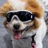 Windproof Dog Goggles UV Resistant Pet Glasses Dog Accessories Dog Sunglasses  Outdoor