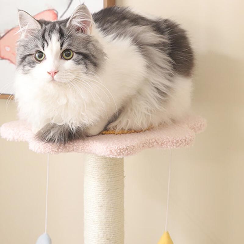 Fish-shaped Cat Climbing Tower