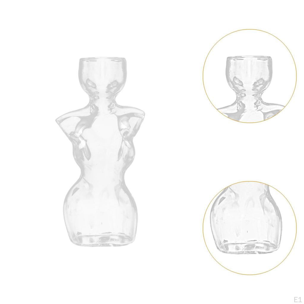 Liten avokadofröstartare, Centerpiece Inomhus Utomhus Blommor Heminredning, Glasväxtkruka, Klar