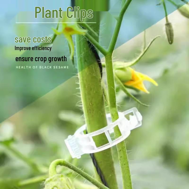Green Plant Support Clips & Vines for Seedlings
