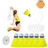 KASELIN Indoor Badminton Single Player Badminton Set with Automatic Practice Equipment for Home Bounce Training Suitable for Includes 3 or 6 Balls