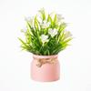 Plastic Artificial Flower Bonsai Fake Plant Flowers Potted Ornament Simulation Succulents Evergreen Bonsai Desktop Decoration