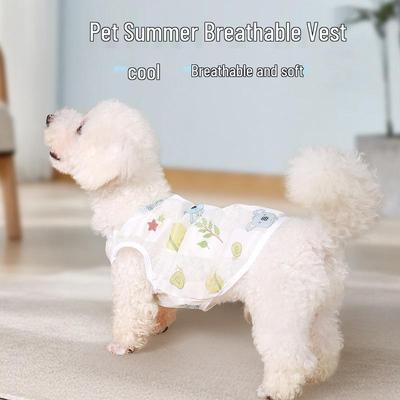 Bekleidung & Schuhe – Westen & Hemden für Hunde