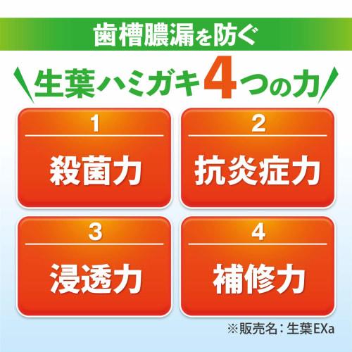 Shoyo EX (Shoyo EX) Medicated Toothpaste to Prevent Periodontal Disease, Herb Mint Flavor, 100g