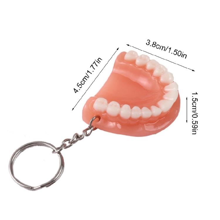 Mini Tooth Model Shape Keychain Bag Ornament Backpack Charm Pendant Car Keychain