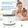 Lot de 2 filtres de rechange pour purificateur d'air Levoit Vista 200, filtre HEPA à charbon actif 3 en 1