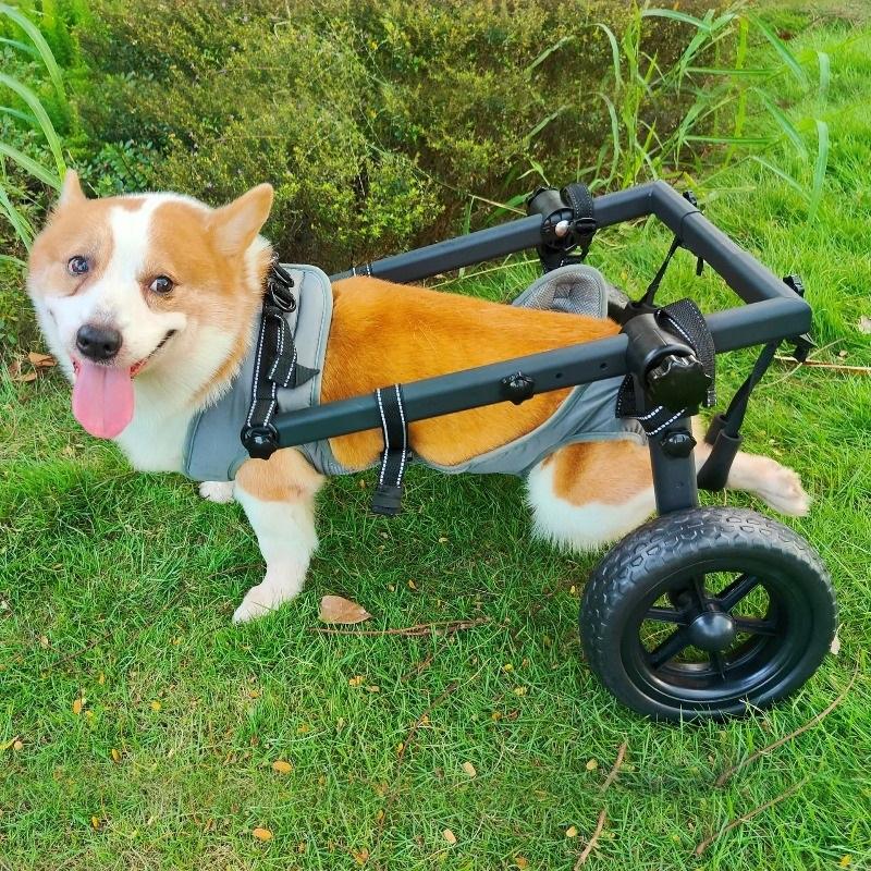 Medium and Large Pet Dog Wheelchair Dog Rehabilitation Walking Assistance Cart Moped Pet Dog Scooter