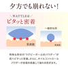 WATTLE Cushion Foundation, 13g Compact + Refill Set (Approximately 1 Month's Supply), Hoconico (Natural Beige)