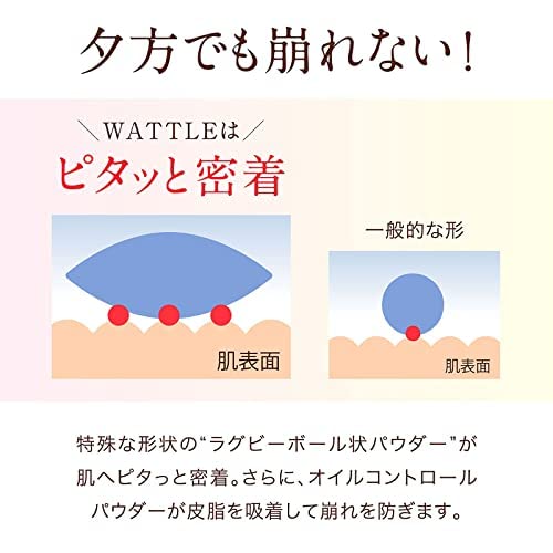 WATTLE Cushion Foundation, 13g Compact + Refill Set (Approximately 1 Month's Supply), Hoconico (Natural Beige)