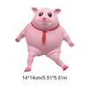 Cute Squeeze Pink Pig Toy Stress Relief Toy Decompression Soft Sensory Slow Rebound Pink Animals Vent Toys Gifts for Girls Boys