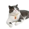 Excellent Allergy Free Resin Cat Collar Cartoon Pendant Style Pet Neck Chain Birthday Gift
