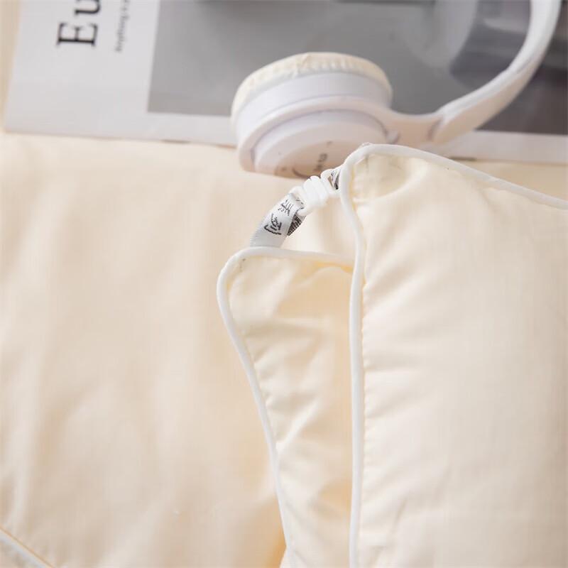 Southern Life Soy Blend Soft Cotton Winter Quilt