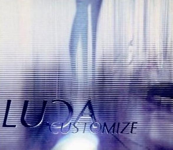 

CD LUA Customize POCH1915PROMO Polydor 2000 Japan Рок Б/У