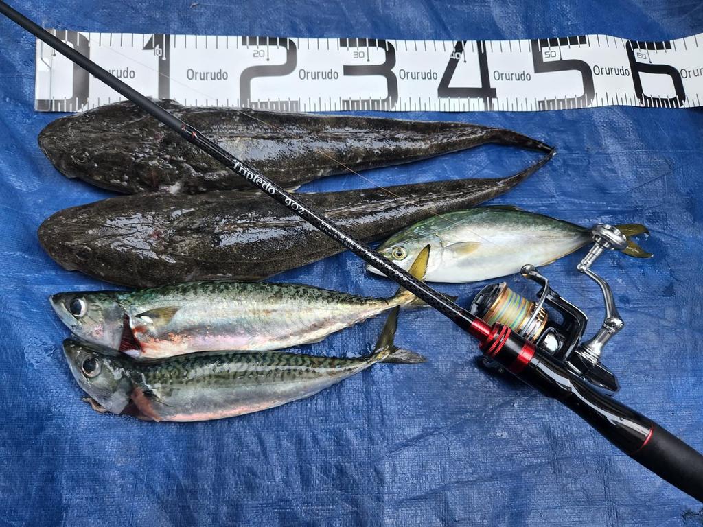 Orrudo Fishing Gear Lure Rod Revolution This One Covers 3 Types of Actions L ML Sea LSJ Qb300106a01n0 "Triple 2.7m" M, Egging, Chinning, Bass,