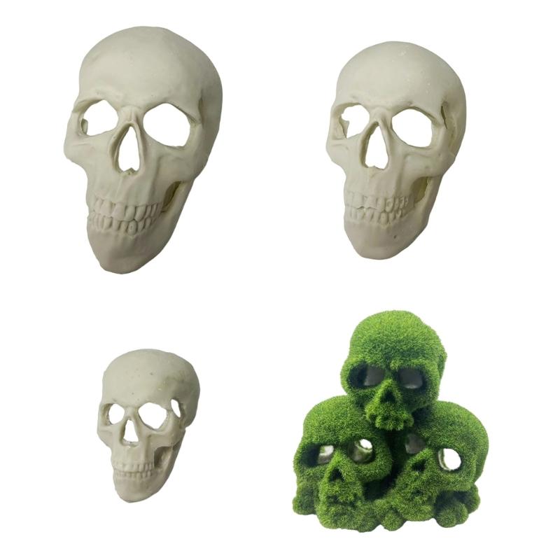 Skull Figurine Accent for Enclosure Styling, Room Display, Shelf Display, and Theme Display Use with Indoor Display