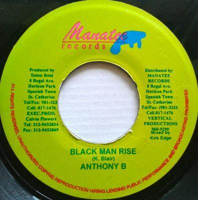 7inch Record ANTHONY B - Black Man Rise NONE Manatee Records Jamaica Reggae, Ska & Dub Used