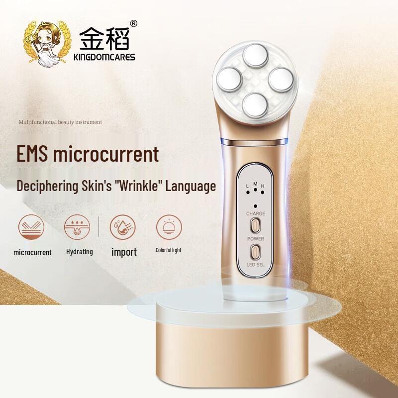 Kinscen RF Facial Beauty Device CN plug (adapter included)