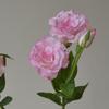 Fiori artificiali 3 teste Platycodon bouquet fiore realistico matrimonio decorazione casa tavolo da pranzo fiore finto oggetti di scena per fotografia