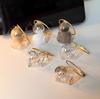 New In Stock Transparent Cat Hair Storage Box Hanging Decoration Blind Box Cat Hair Storage Capsule Desktop Decor Holiday Gifts